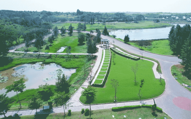 mount sinai by the lake