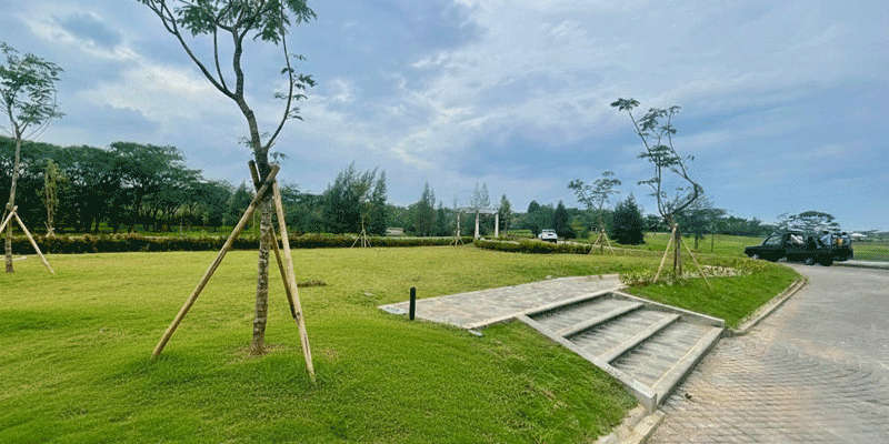 area single mount sinai by the lake